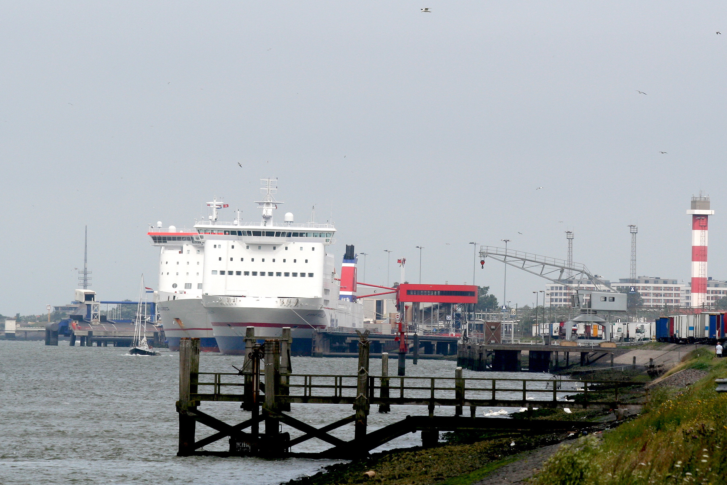 Ferries a Hook of Holland Rutas, billetes y horarios